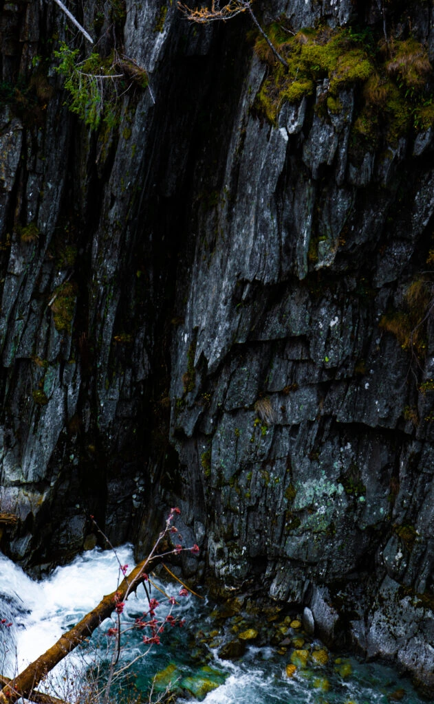 Water and a fallen tree beneath a rock face