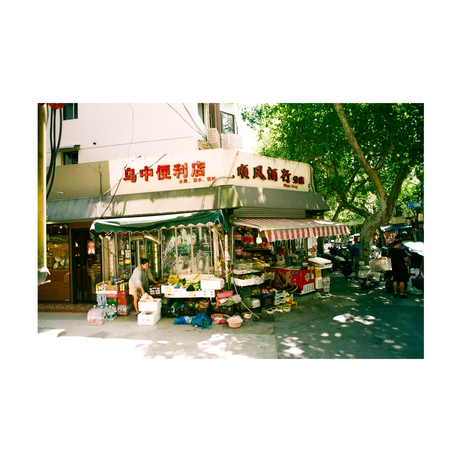 Shop on a street corner in China beneath trees