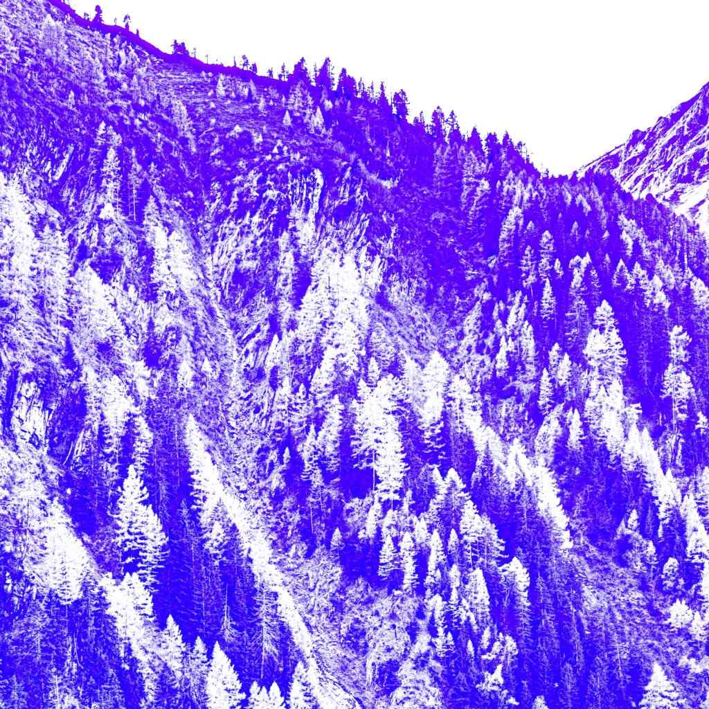 A forest landscape rendered in purple and white tones