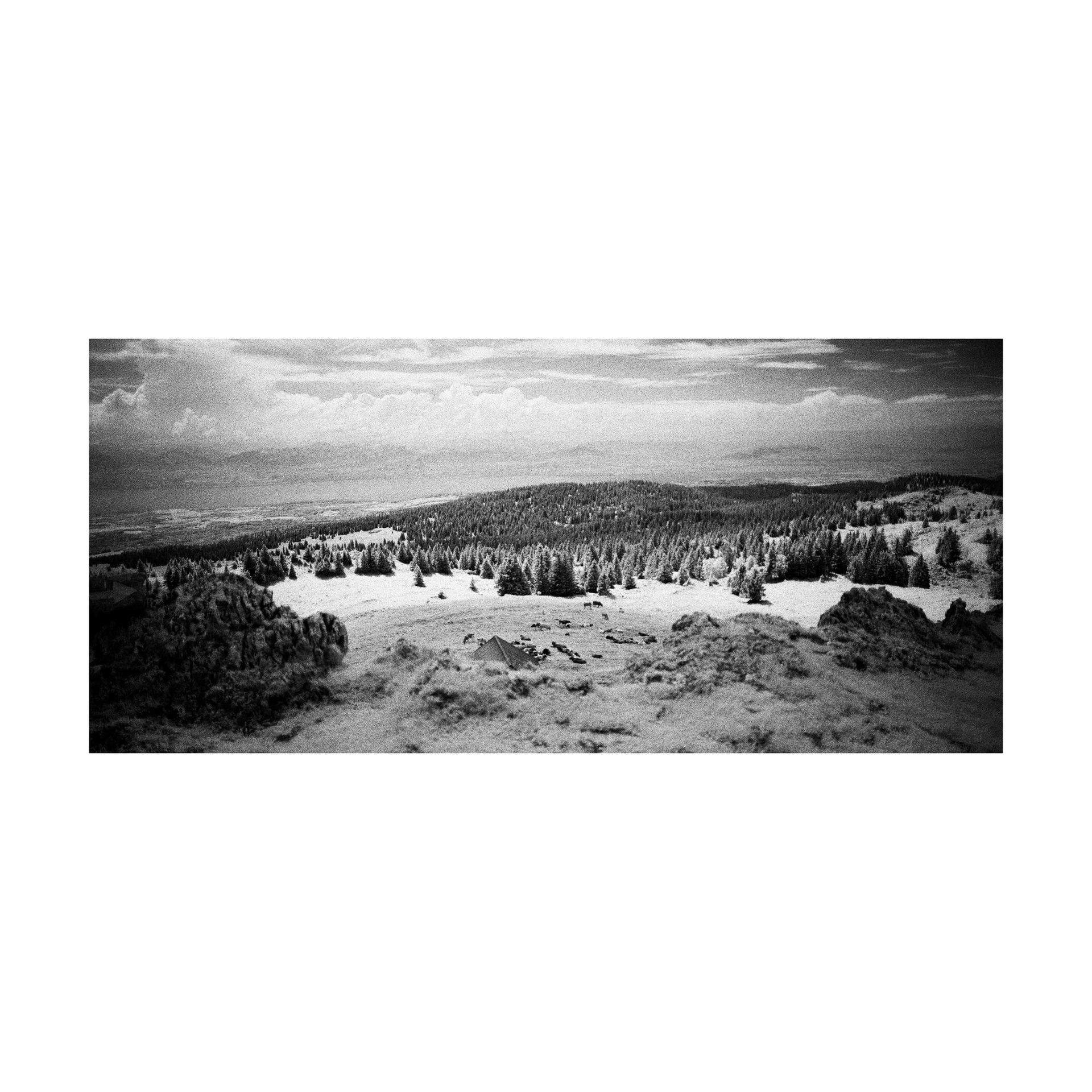 Wooded valley and distant landscape in black and white infrared