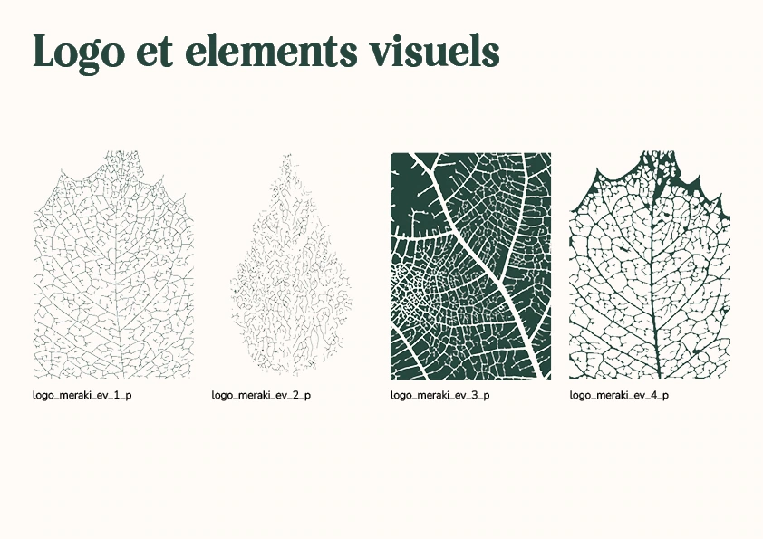 Motifs graphiques Meraki inspirés des nervures des feuilles