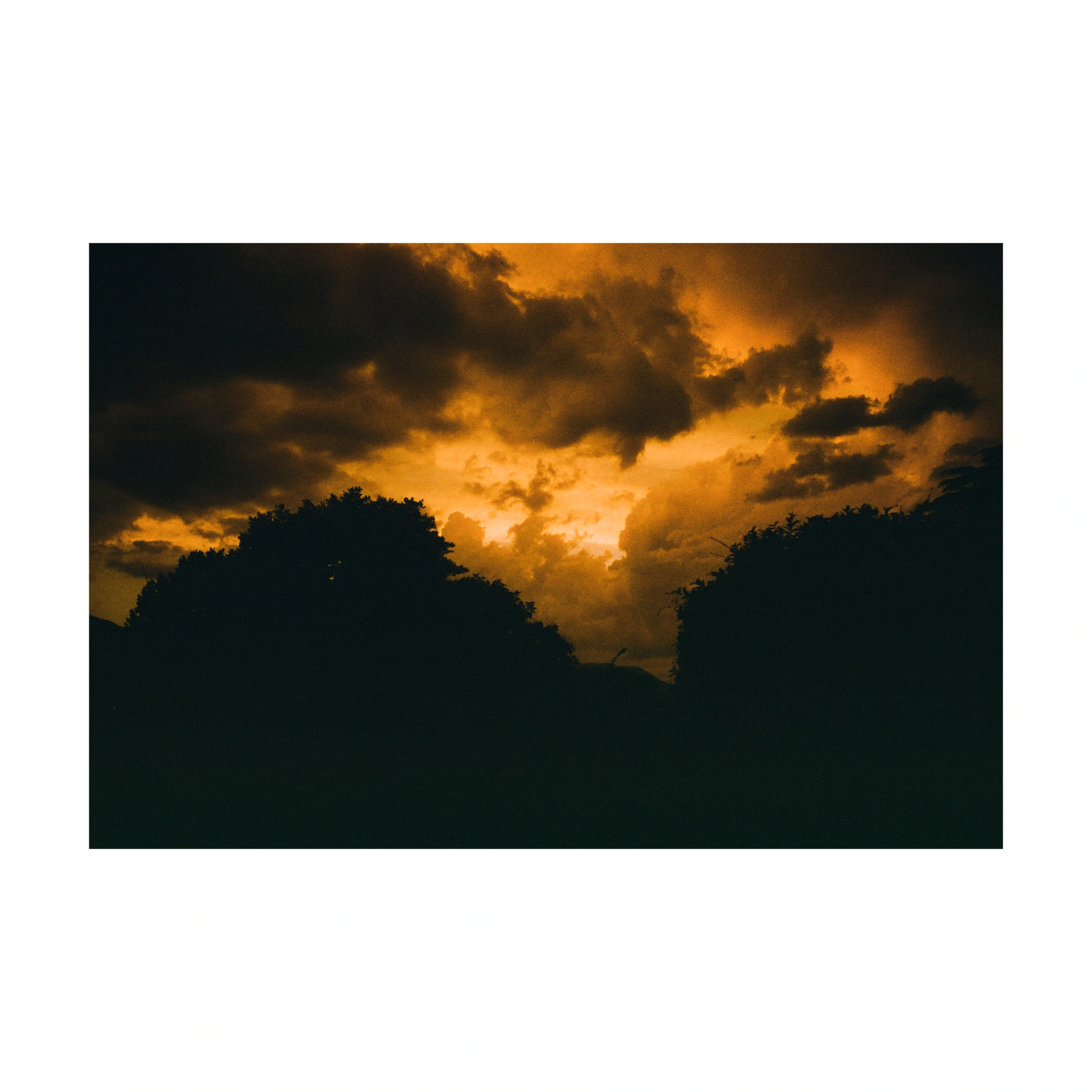 Orange clouds above dark silhouettes of trees