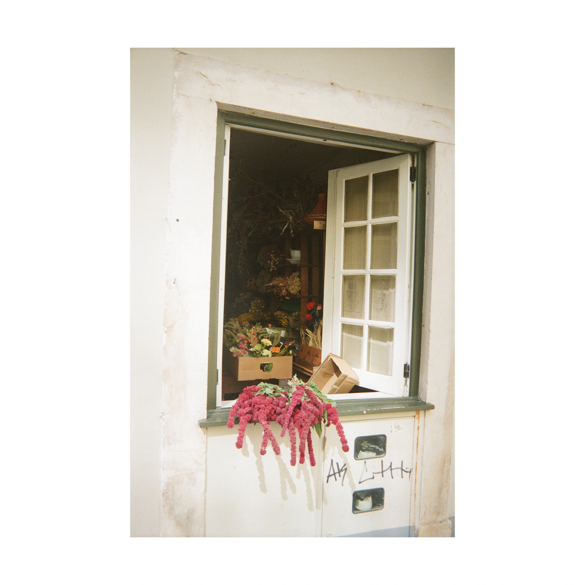 Open window, flowers and pink fabric on a white wall